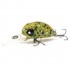 Воблер Lucky John Pro Series Haira Tiny LBF 33 Plus Foot