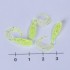 Твистеры съедобные Lucky John Pro Series MICRO GRUB 1,0in (02,50) 15шт