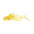 Мягкая приманка Wonder Trout Bait Nymph-A 5.5см, 6шт